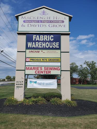 WNY WELLNESS, FAMILY HEALTH NP PLLC