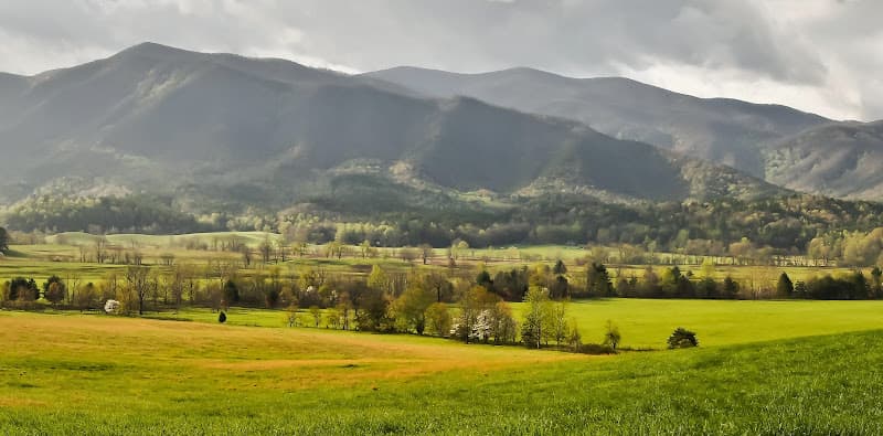 Foothills Weight Loss Surgeons